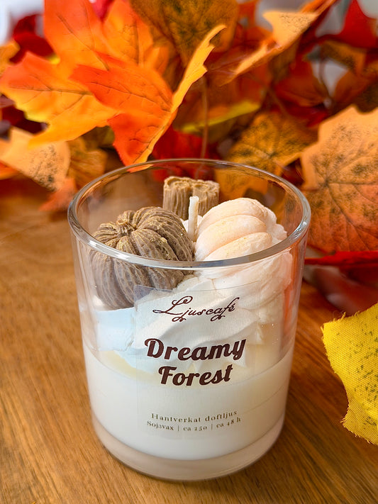 Dreamy Forest special